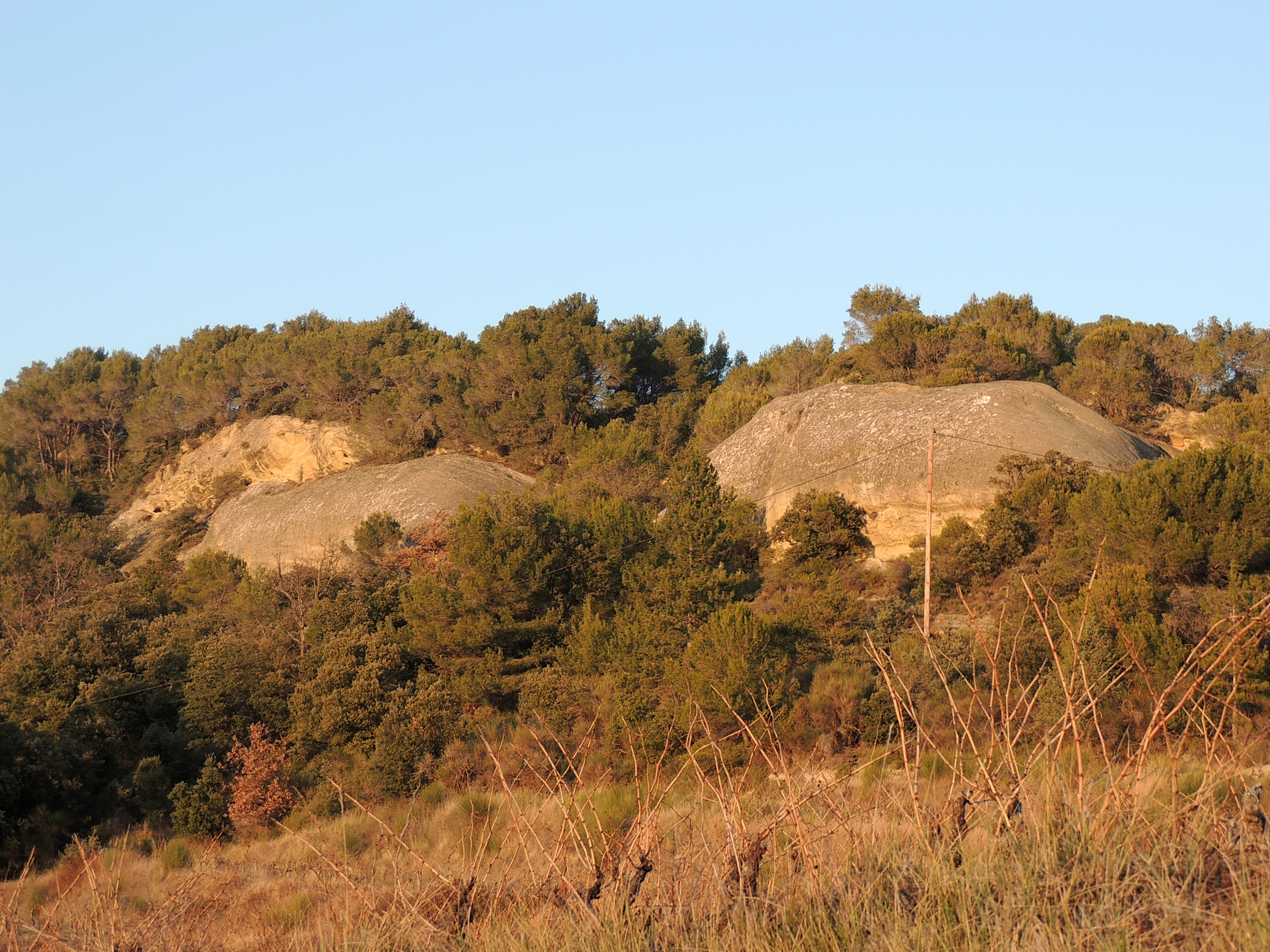 le-domaine-roche-coucourde